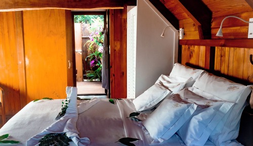 Safari Room