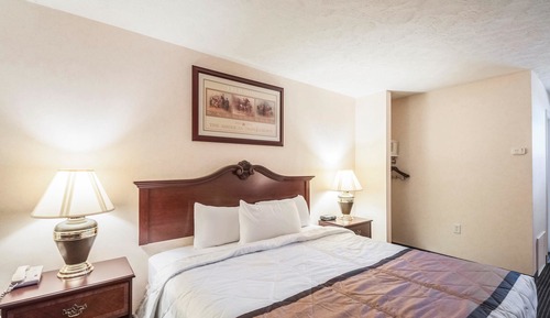 Habitación estándar, 1 cama de matrimonio grande, no fumadores