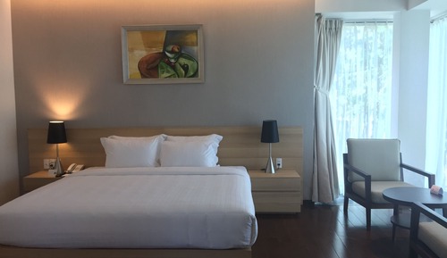 Habitación Premium, 1 cama de matrimonio grande (in Villa (Shared Villa))