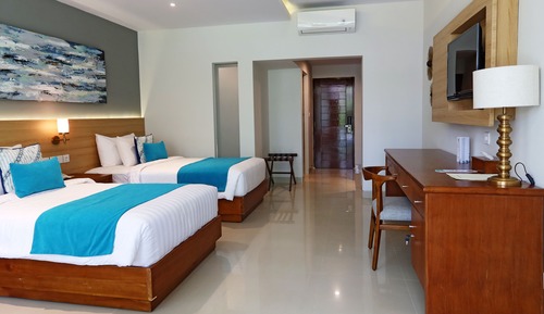 Habitación Deluxe con 1 cama doble o 2 individuales
