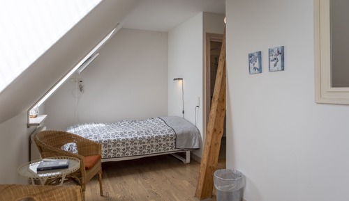 Habitación básica doble, 1 cama doble, baño privado