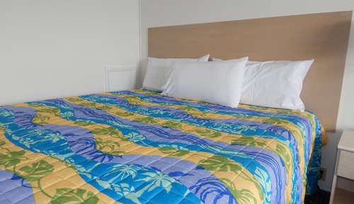 Habitación básica, 1 cama de matrimonio grande