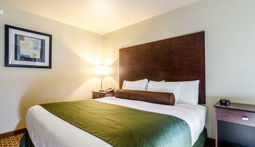 Room, 1 King Bed, Accessible Roll in Shower, Non Smoking