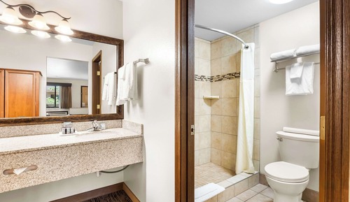 Habitación estándar, 1 cama de matrimonio grande, no fumadores, frigorífico y microondas