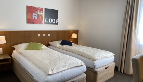 Habitación Business con 2 camas individuales