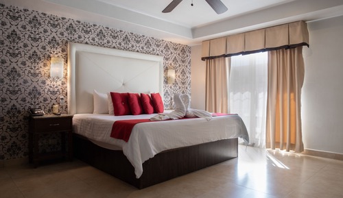 Suite estudio Premium