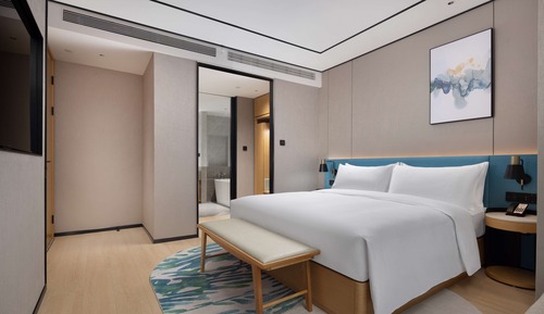 Suite Deluxe, 1 cama de matrimonio grande