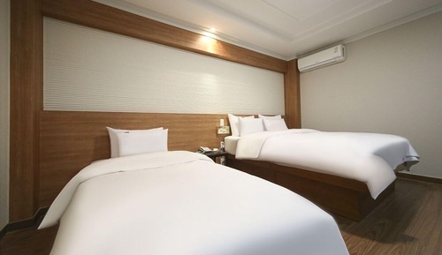 Habitación Deluxe con 2 camas individuales