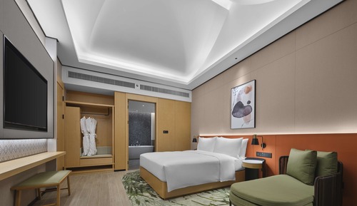 Suite, 1 habitación