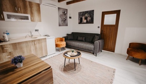 Habitación ejecutiva con 2 camas individuales
