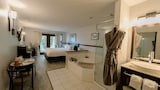 Executive Studio Suite