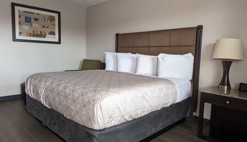 Habitación individual estándar
