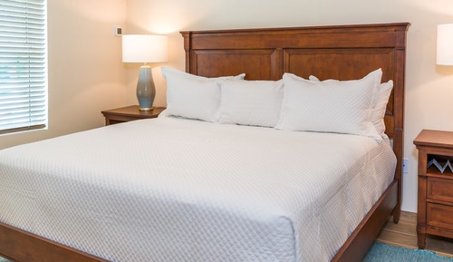 Suite, 1 cama de matrimonio grande con sofá cama
