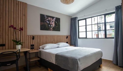 Habitación Deluxe doble