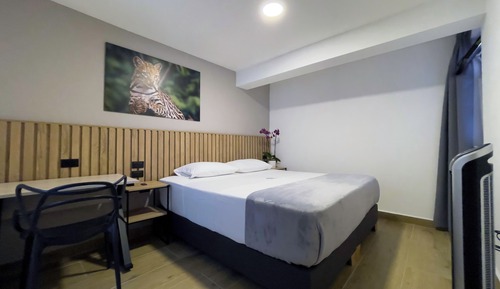 Habitación clásica doble