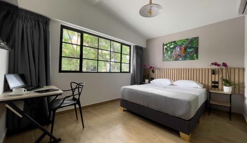 Habitación Deluxe doble