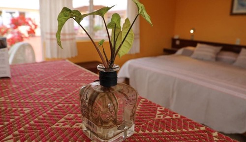 Habitación individual Elite