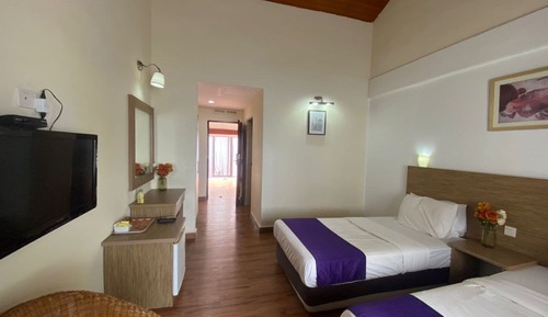 Habitación Deluxe con 2 camas individuales