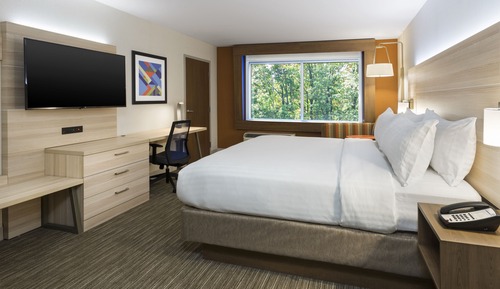 Suite ejecutiva, 1 cama individual, no fumadores