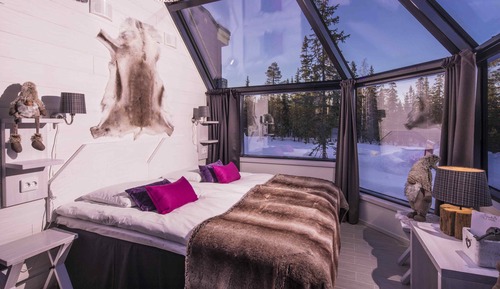 Premium Igloo