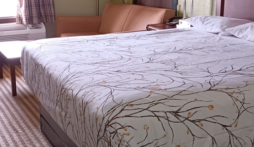 Suite, 1 cama de matrimonio grande