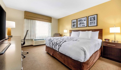 Habitación estándar, 1 cama de matrimonio grande, no fumadores
