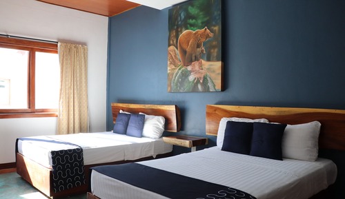 Hotelier