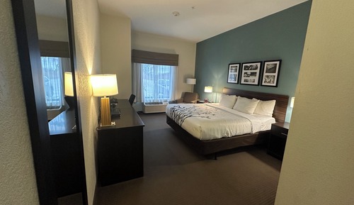 Habitación, 1 cama de matrimonio grande, accesible para personas con discapacidad, no fumadores