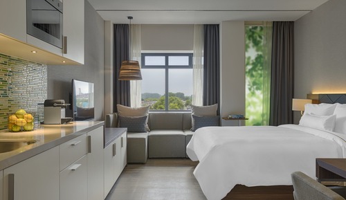 Estudio superior, 1 cama de matrimonio grande (Urban, View)