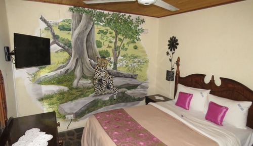 Budget Double Room 2