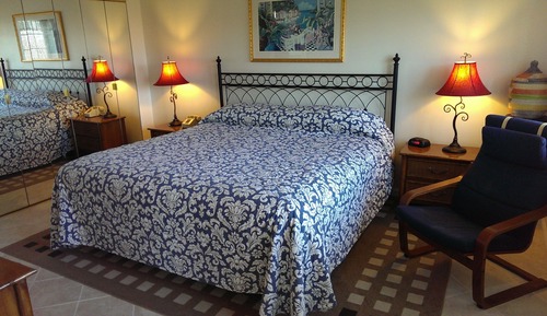 Suite de lujo, 1 habitación