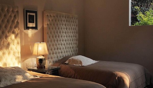 Suite (Cattleya)