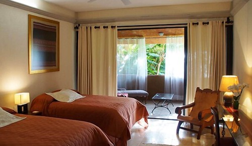 Suite (Phalenopsis)
