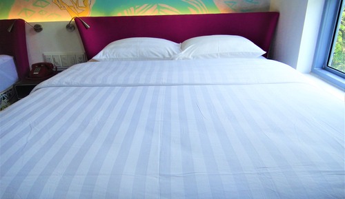 Habitación Premier con 2 camas individuales