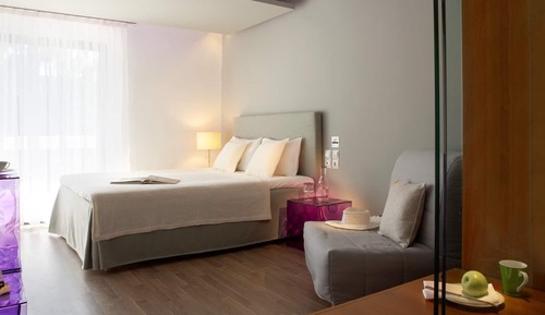 Habitación Confort doble, vistas al jardín