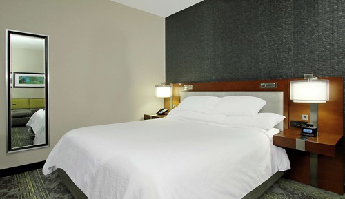 Suite, 1 cama de matrimonio grande, accesible para personas con discapacidad (Roll-in Shower)