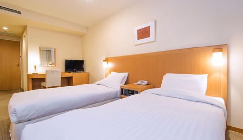 Habitación estándar con 2 camas individuales, no fumadores