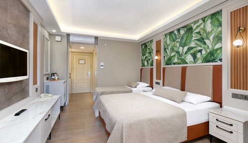 Standart Room, Main Building Land View