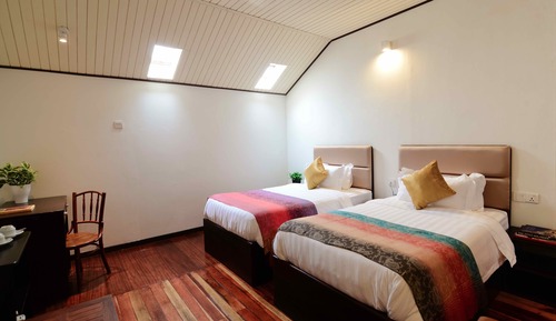 Loft (Swiftlet Gold)