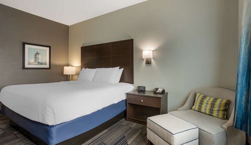 Habitación estándar, 1 cama de matrimonio grande, no fumadores, frigorífico y microondas