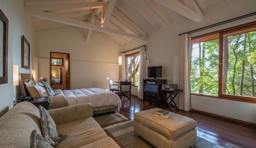 Suite estándar, vistas al jardín