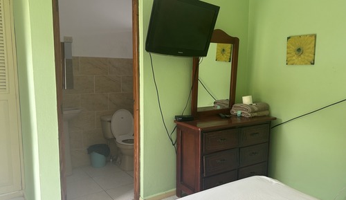 Habitación individual estándar (No A/C)