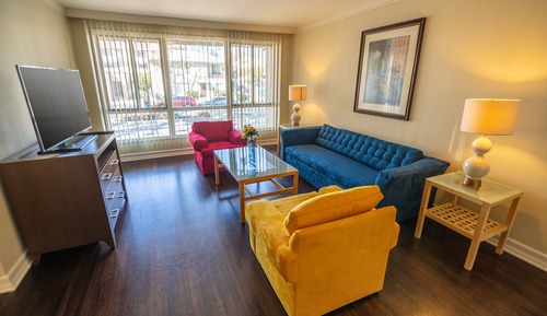 Suite, 1 cama de matrimonio grande con sofá cama (California)