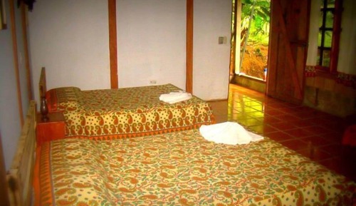 Habitación estándar con 1 cama doble o 2 individuales