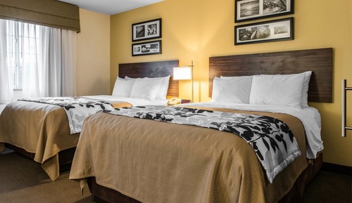 Suite, varias camas, no fumadores