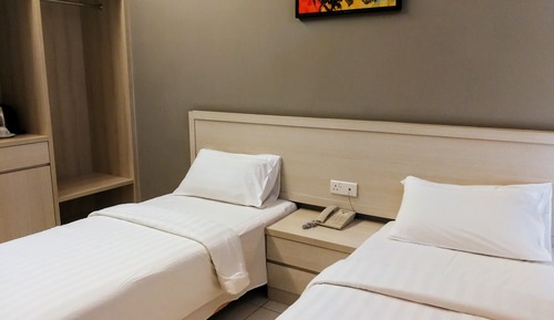 Habitación ejecutiva con 2 camas individuales (Deluxe)