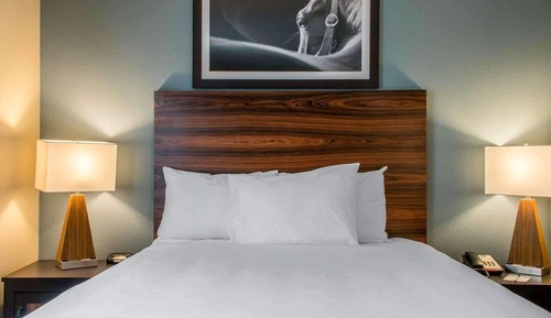 Suite, 1 cama de matrimonio con sofá cama, no fumadores (2 Person Sofa Bed)