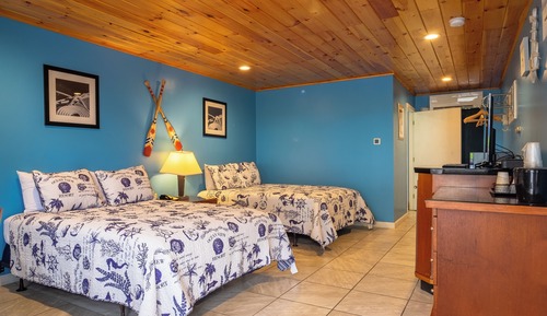 Habitación doble superior, 2 camas de matrimonio, cocina básica