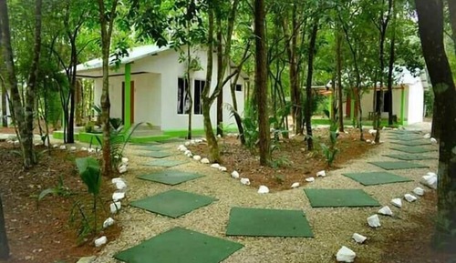 Habitación individual Deluxe