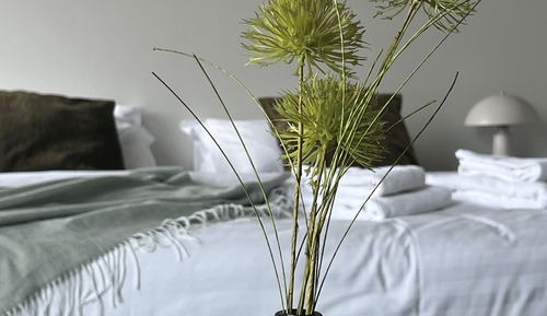 Habitación estándar con 2 camas individuales